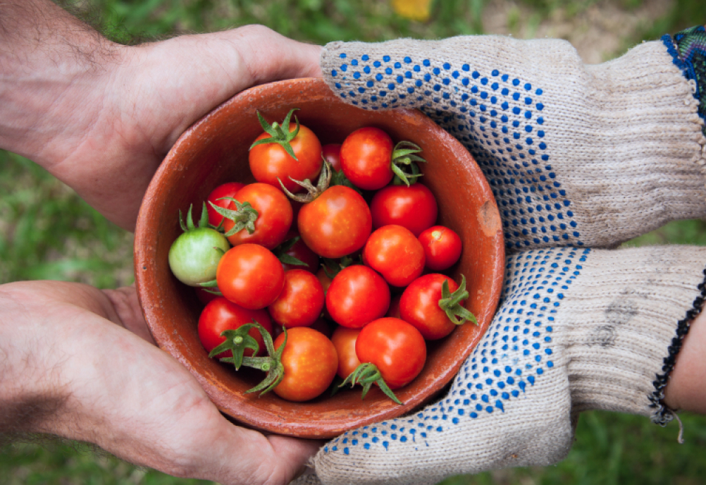 Union Raises Money to Help the Local Agricultural Sector Thrive