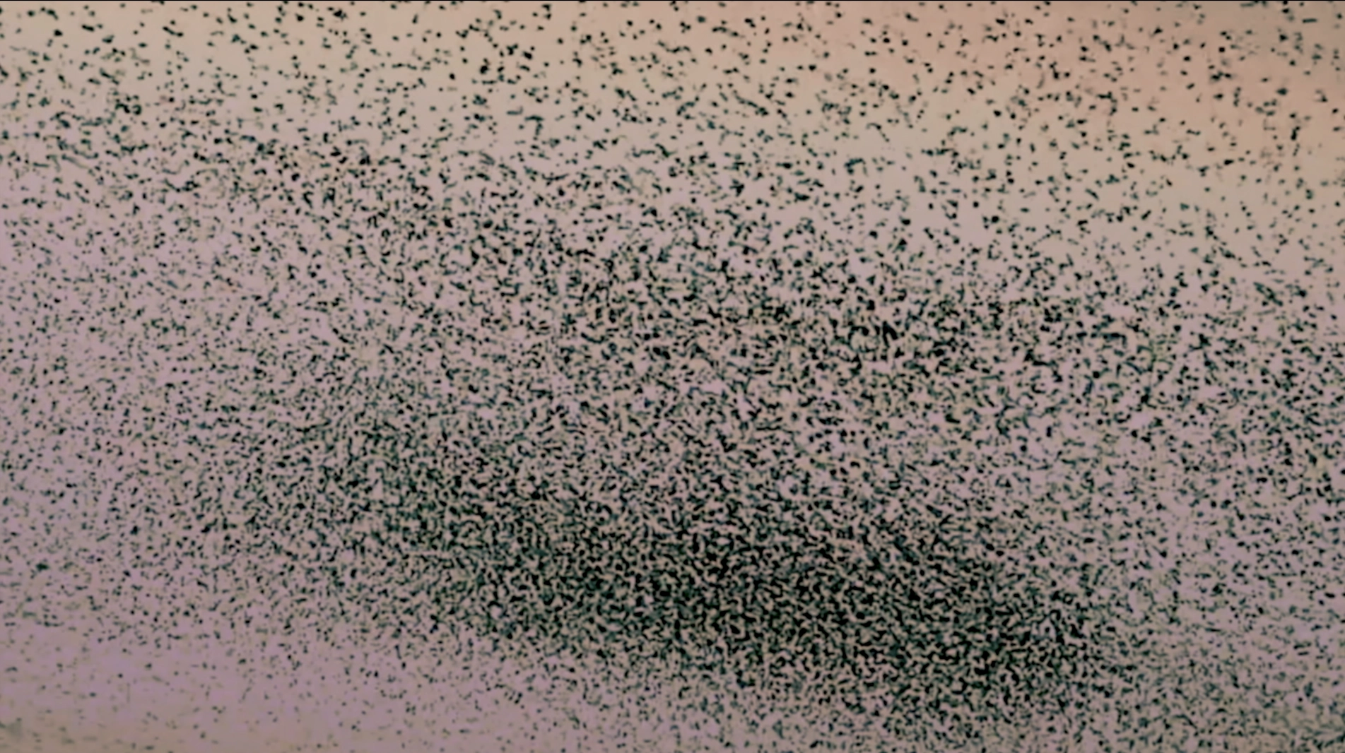 291-picture2-17471872276359.png