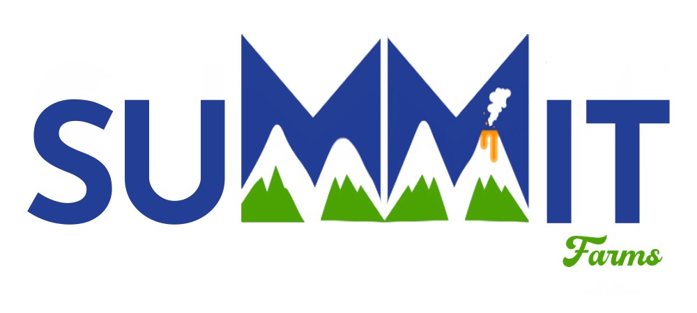 2-logo.jpg