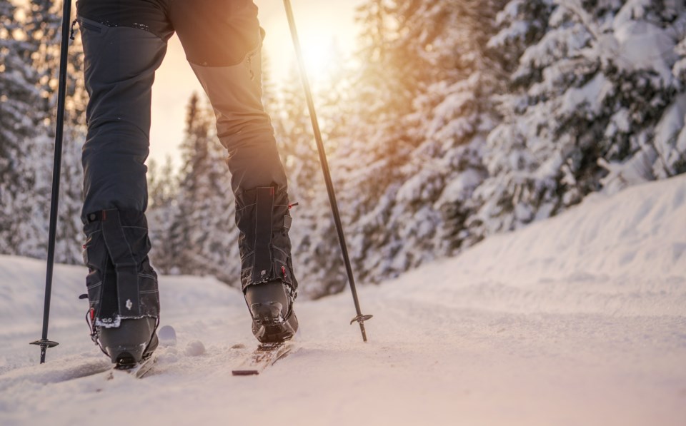 1003-cross-country-skiing-adobestock243108732.jpeg