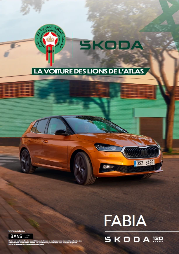 4202-image-skoda-fabia-ft-17622538546844.png