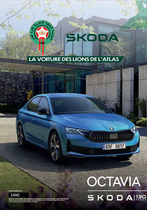4214-image-skoda-octavia-ft-17622543616754.png