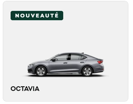 4827-octavia-image-site-web-17622568631088.png