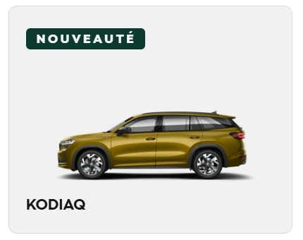 4838-kodiaq-image-site-web-17622569473031.png