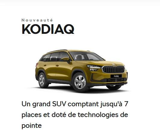 4838-new-kodiaq-image-site-17302827559235.png