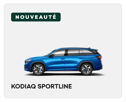 4840-kodiaq-sportline-site-web-image-17622570862766.png