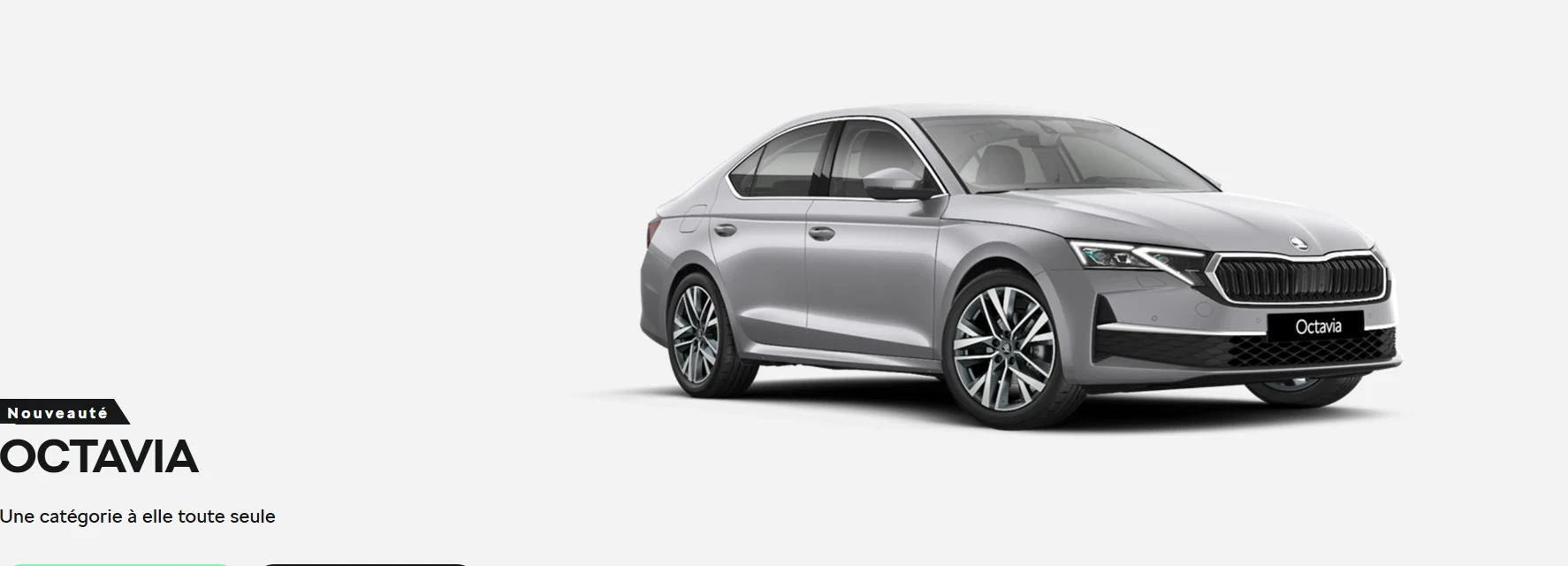 5385-image-octavia-site-web-1762862098816.png