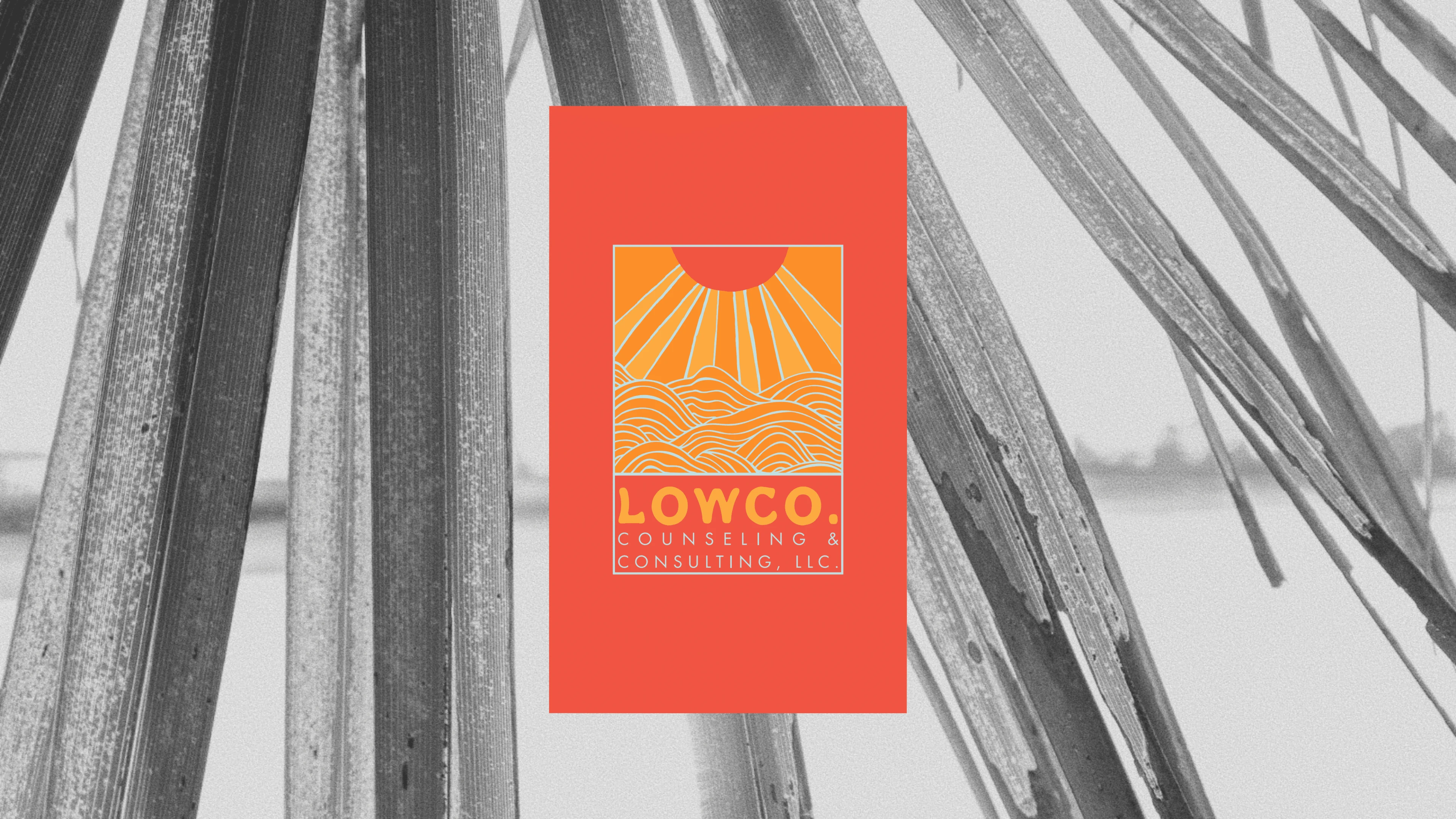 1986-lowco-17501683931052.png