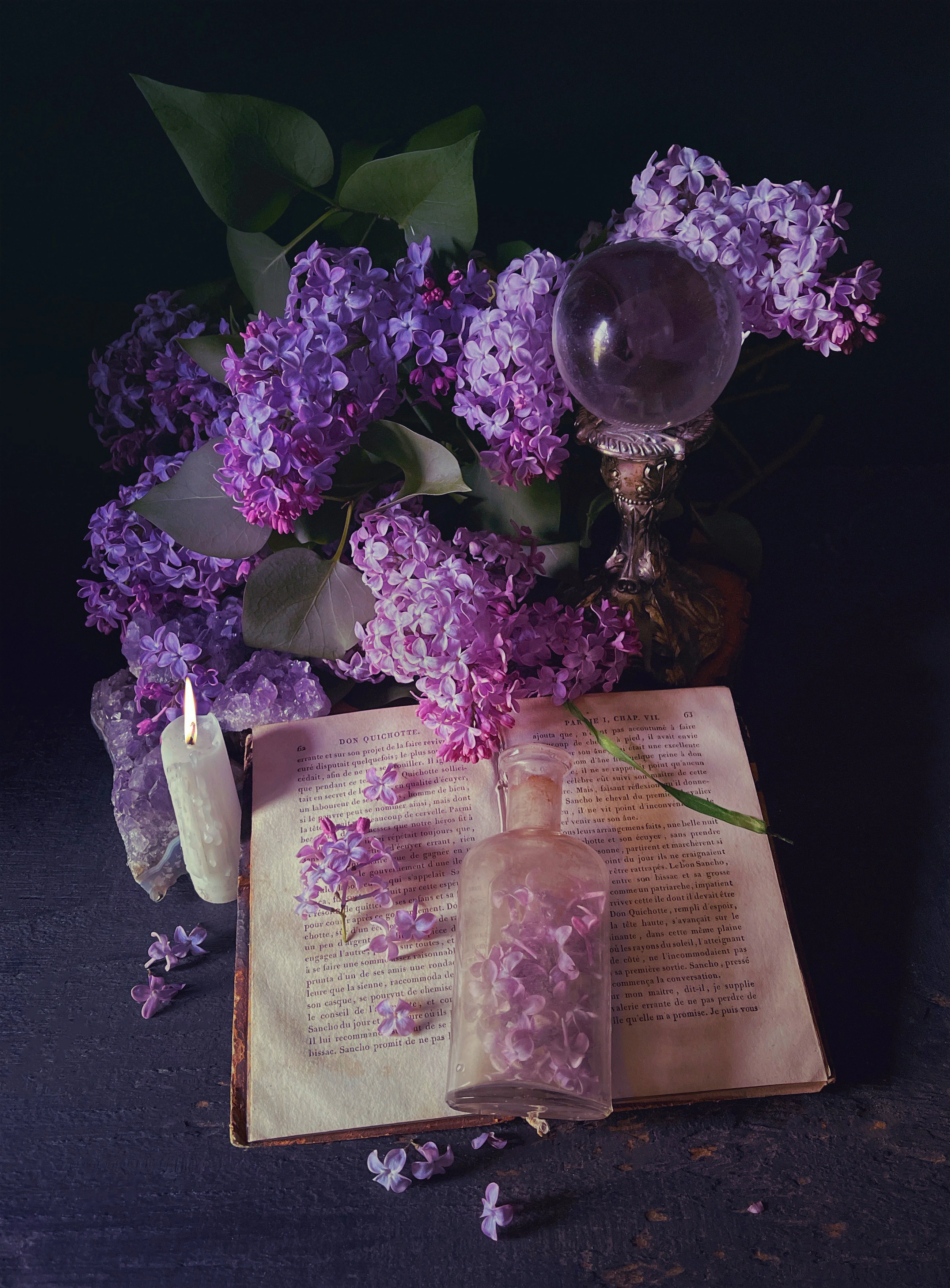 r627-tuttlebibliomancywithlilacs-17213406966467.jpg