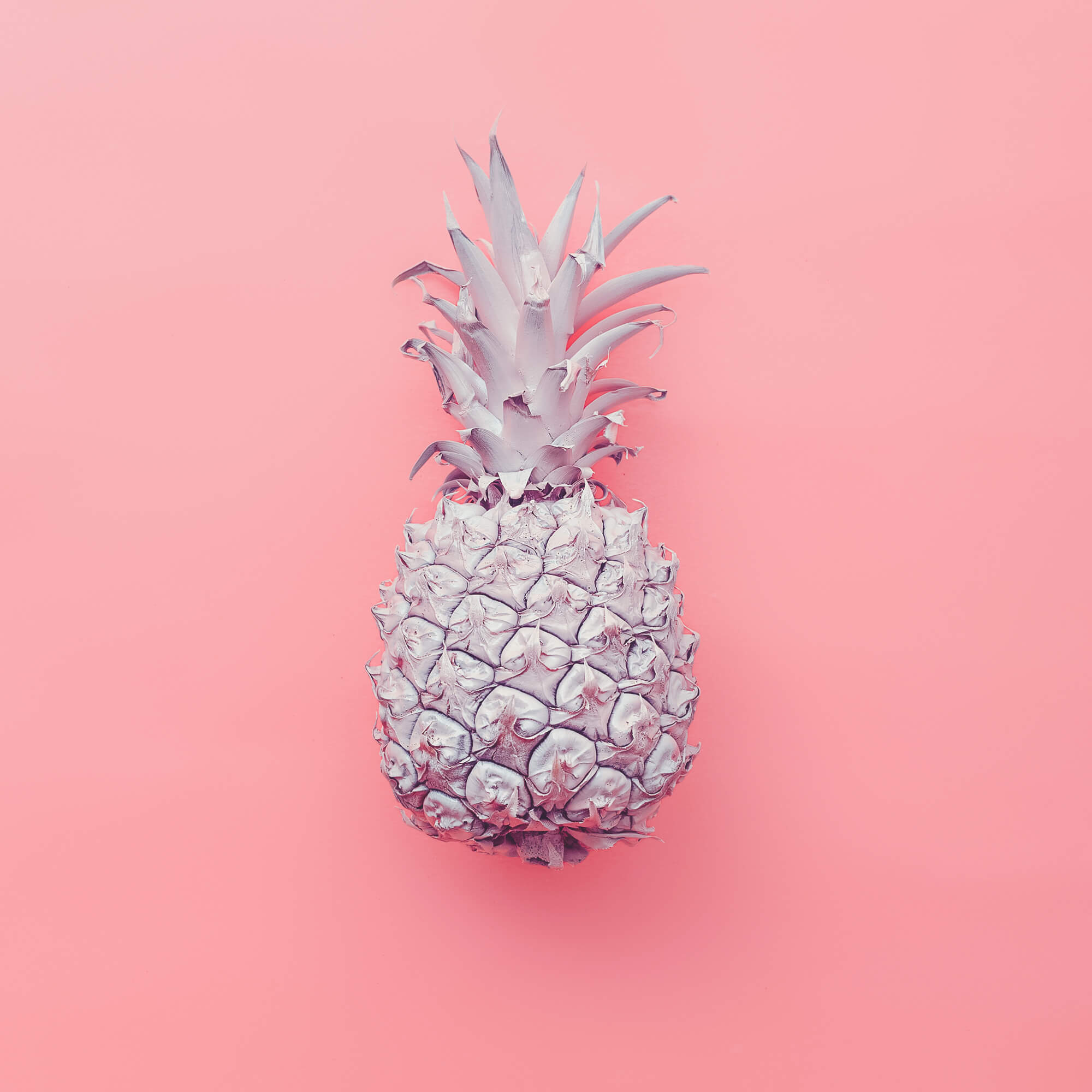 445-shutterstock299714678-1.jpg