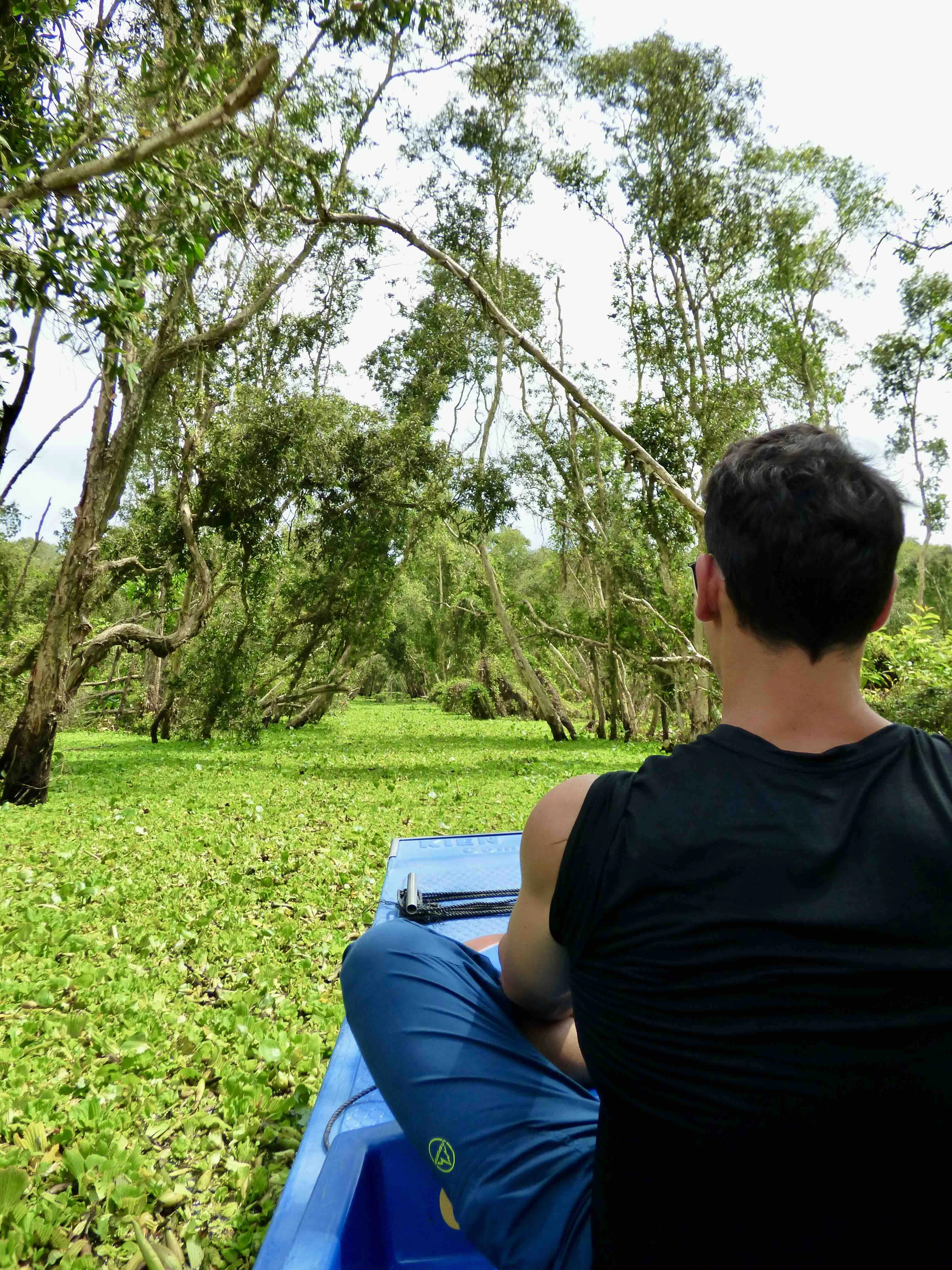 A person seated in a blue boat, viewing the lush greenery of the Mekong Delta in Vietnam.