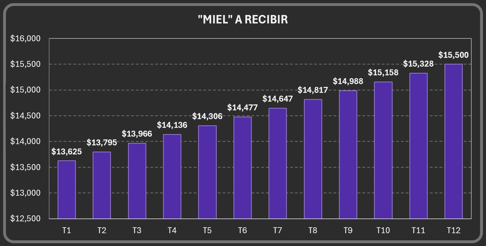 871-miel-a-recibir3-17312637642836.jpg