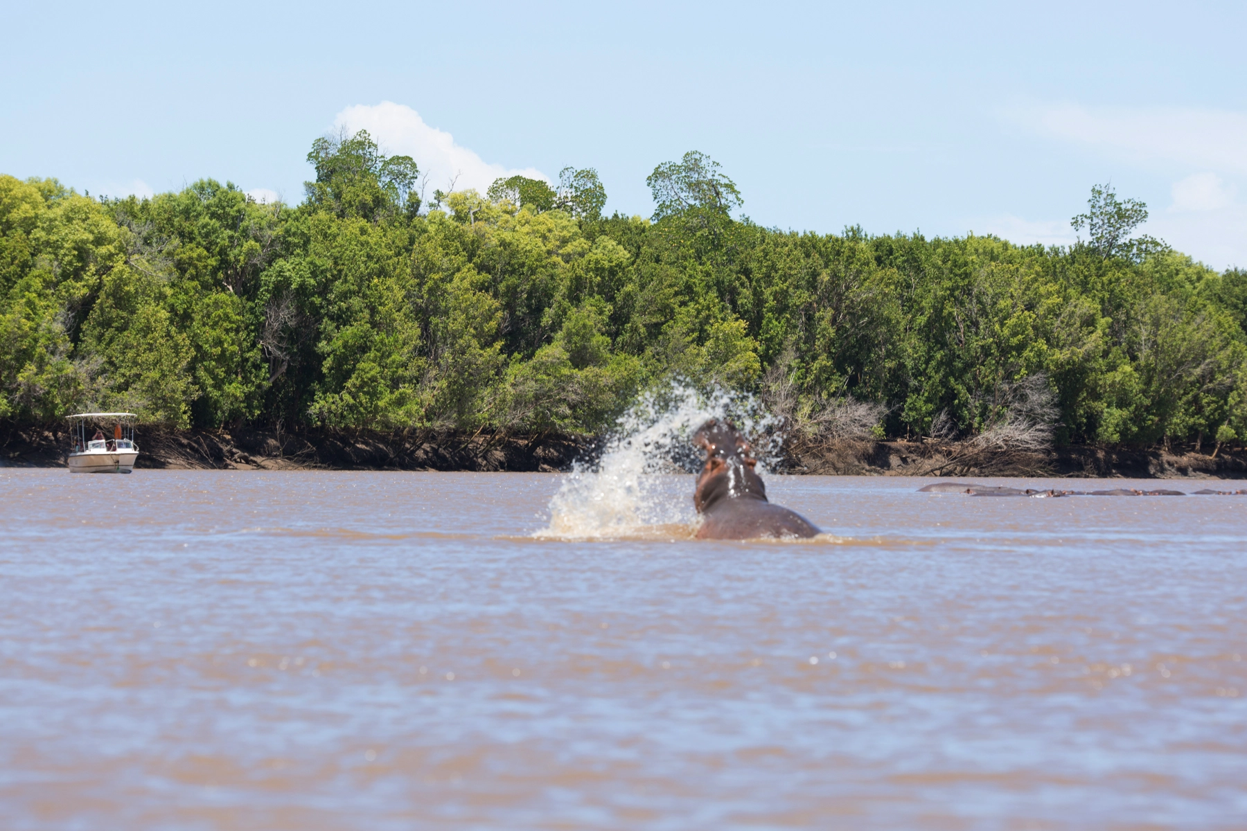 Beach and Safaris in Saadani National Park