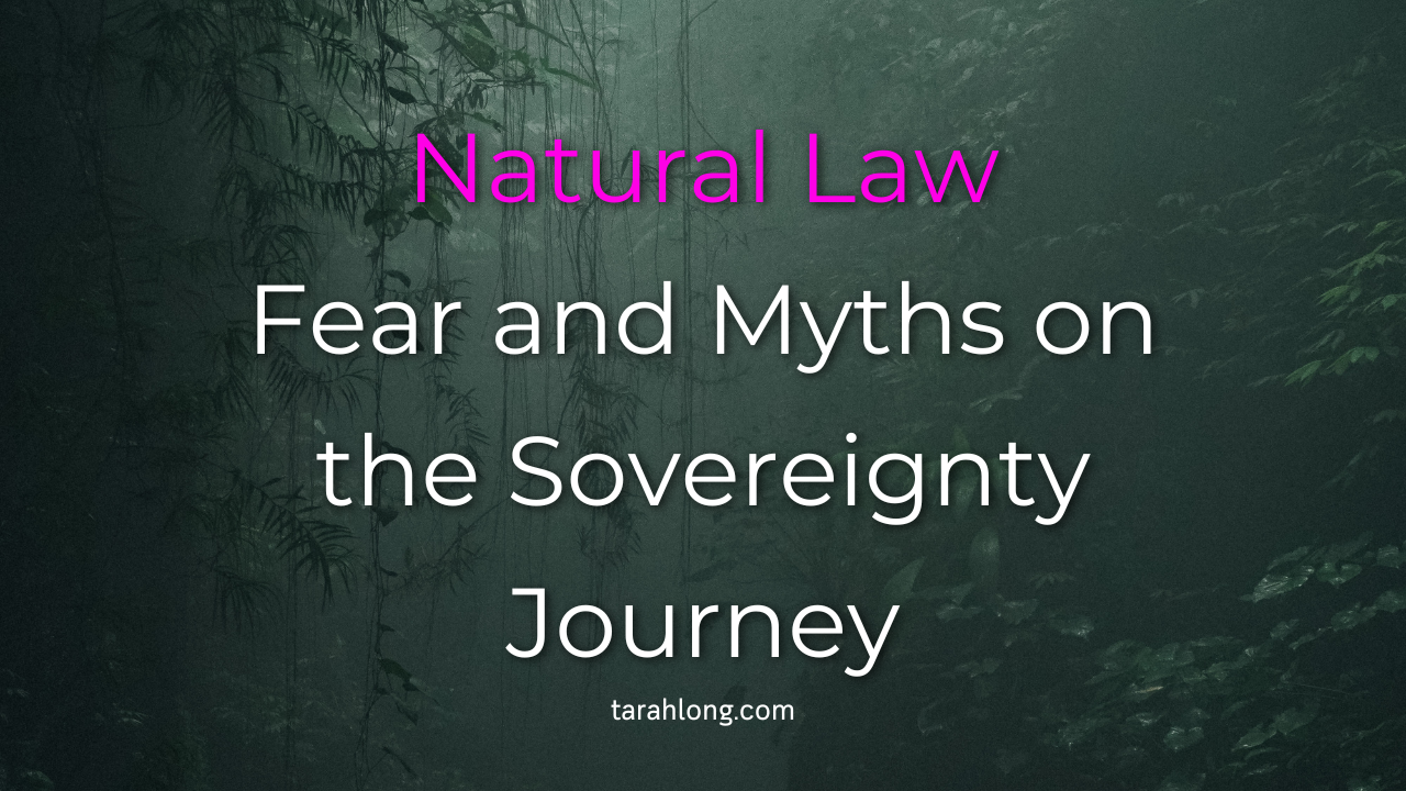 384-fear-and-myths-on-the-sovereignty-journey-17398162849829.png