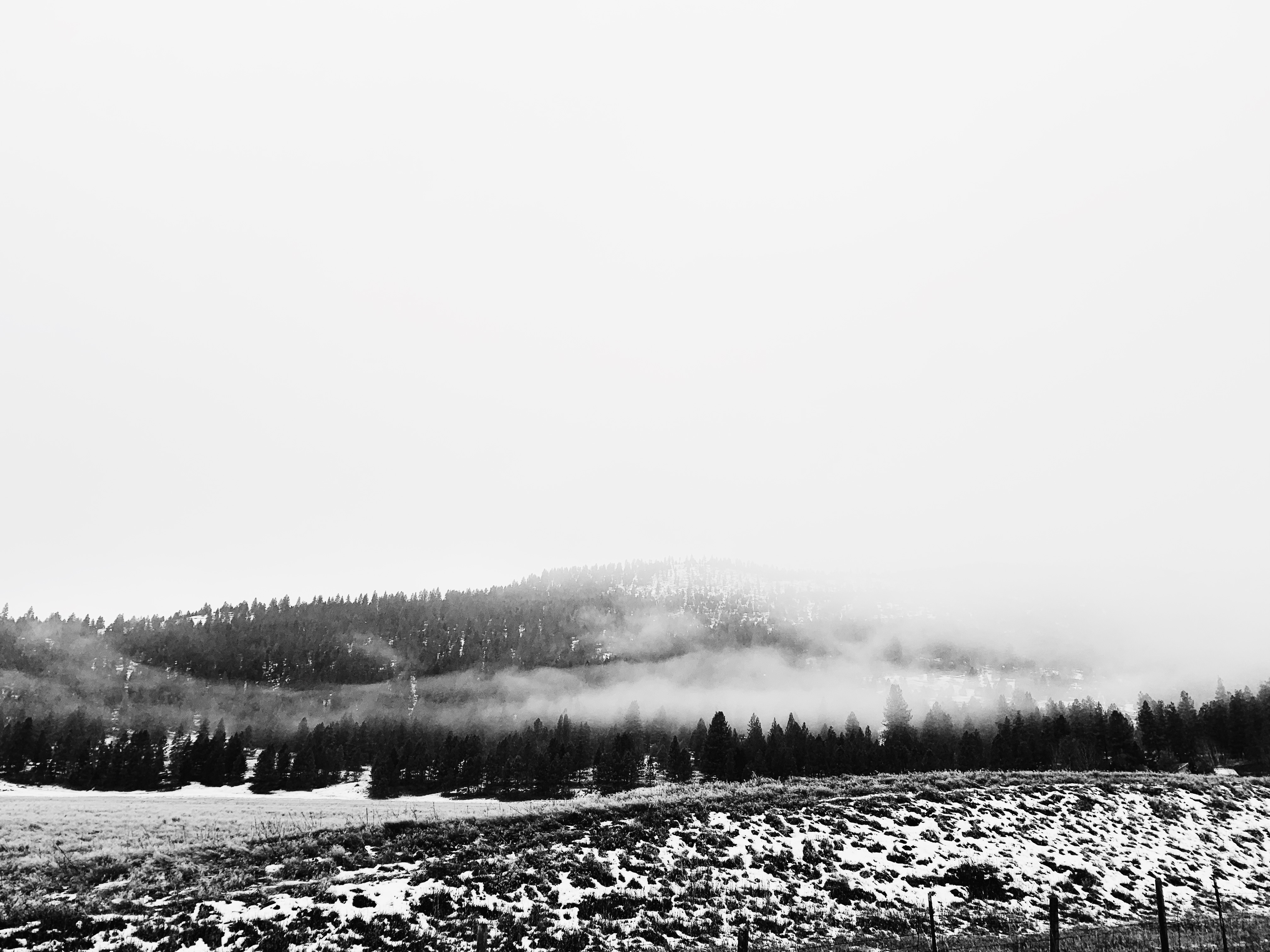 DON T CALIFORNIA MY MONTANA don-t-california-my-montana