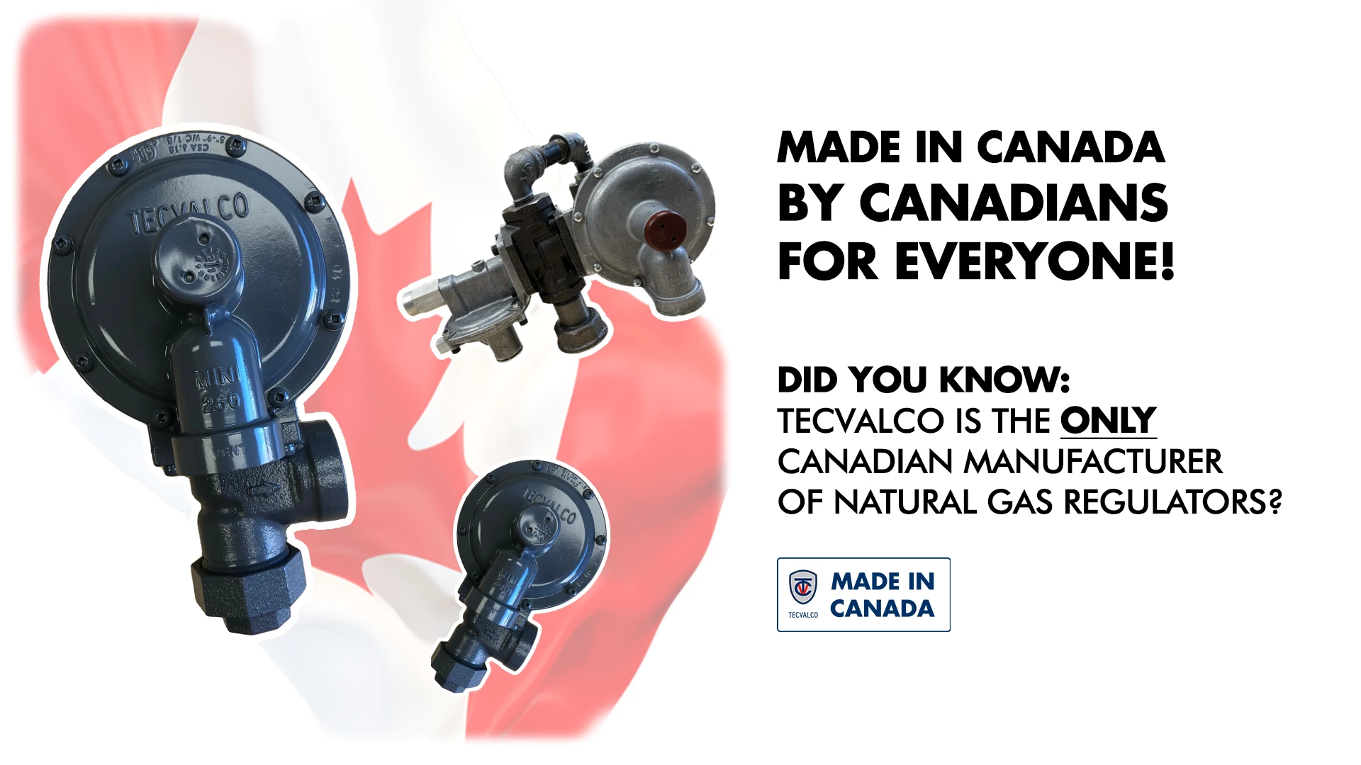 978-made-in-canada-marketing---1-17417779800368.png