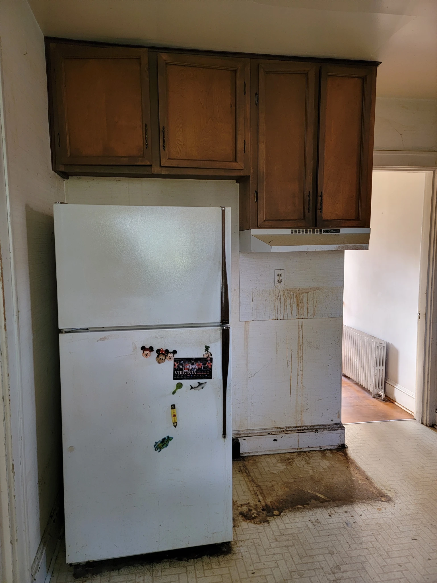 Kitchen Renovation Before