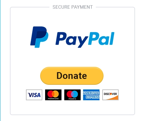 0124663911066-how-to-create-a-paypal-donate-button-for-your-wordpress-site-easily-17037703685791.png