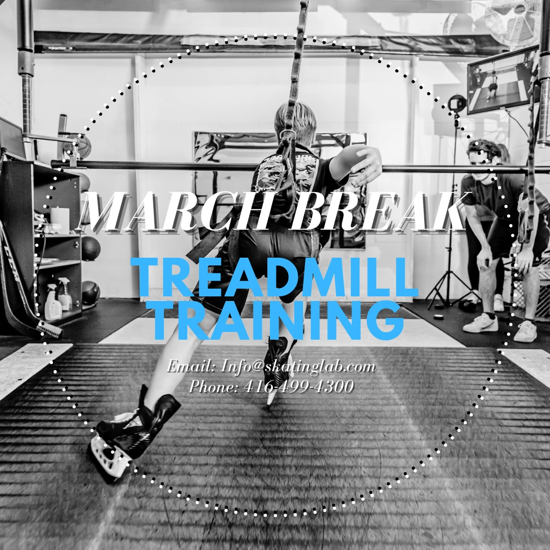 1292-treadmill-training-17057074392758.png