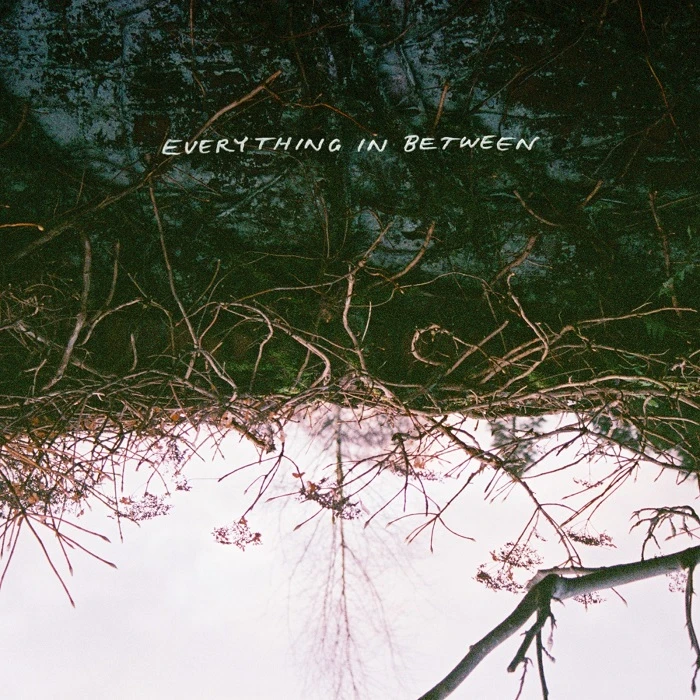 10031-everything-in-between-album-cover-17468488624694.jpg