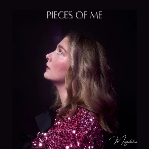 12176-pieces-of-me-cover-17745617840099.jpg
