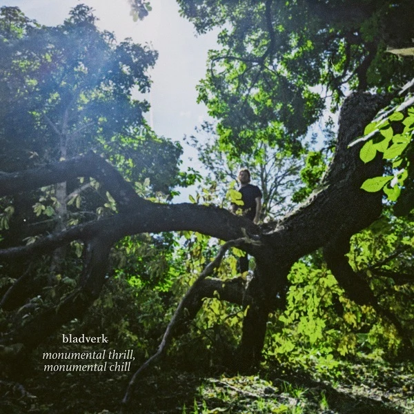 12254-bladverk-album-digitalt-cover-17759340360467.jpg