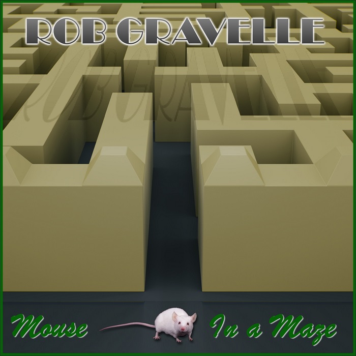 1317-mouse-in-a-maze-with-border.jpg