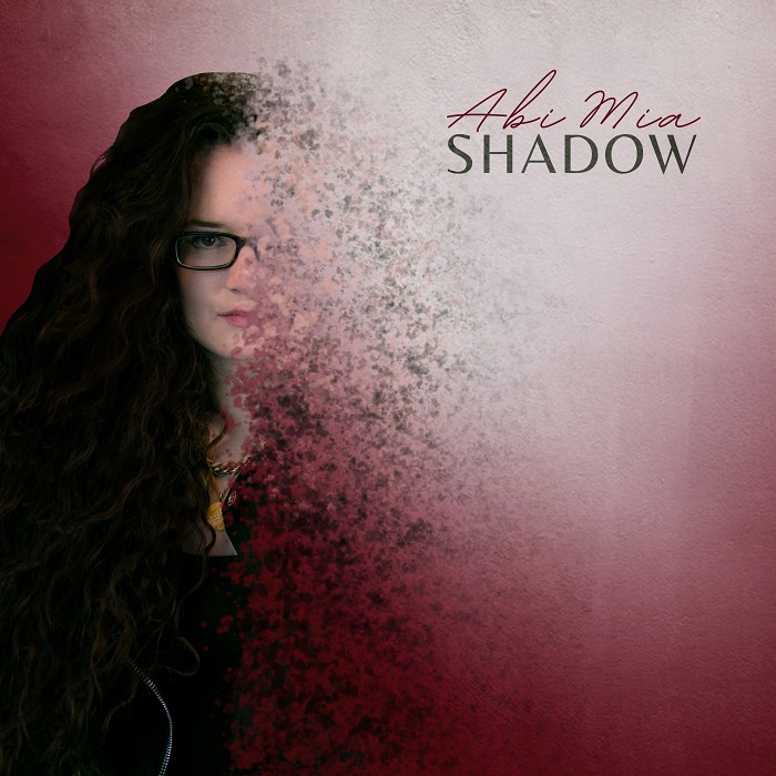 1317-shadow-final-cover-art.jpg
