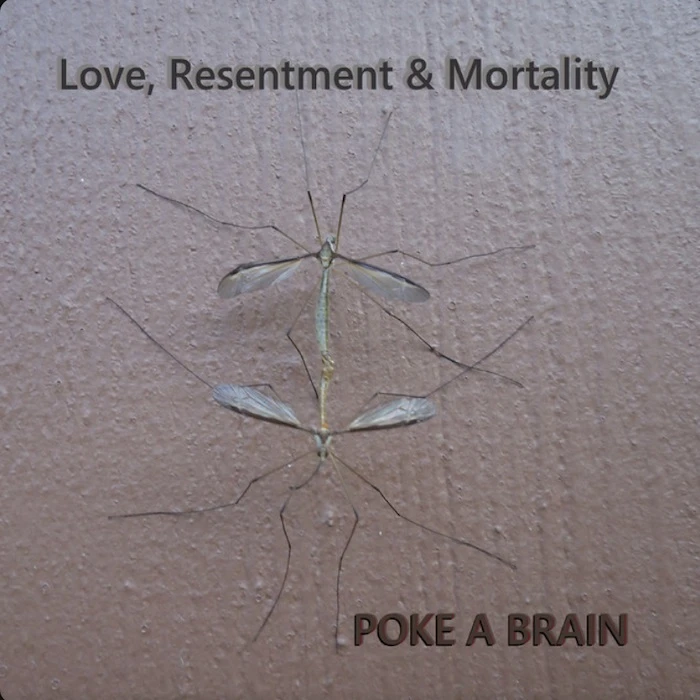 9869-love-resentment-morality-1-17447464066253.jpg