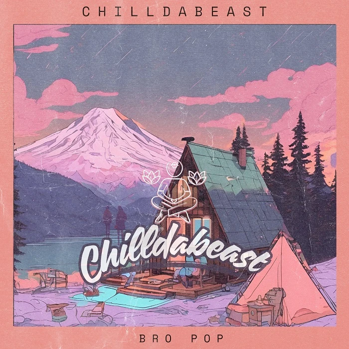 9952-chilldabeast-bro-pop-cover-17456194518517.jpg