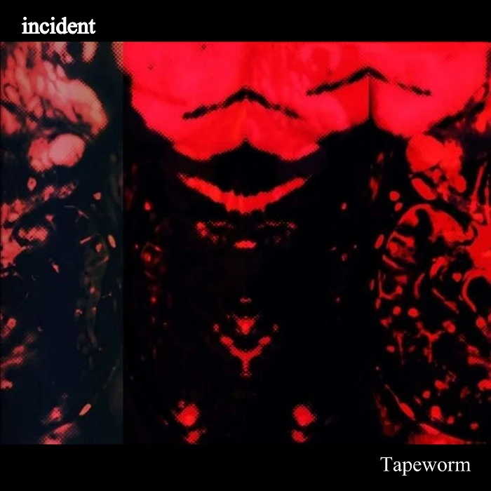 9982-tapeworm---ac-17464855446889.jpg
