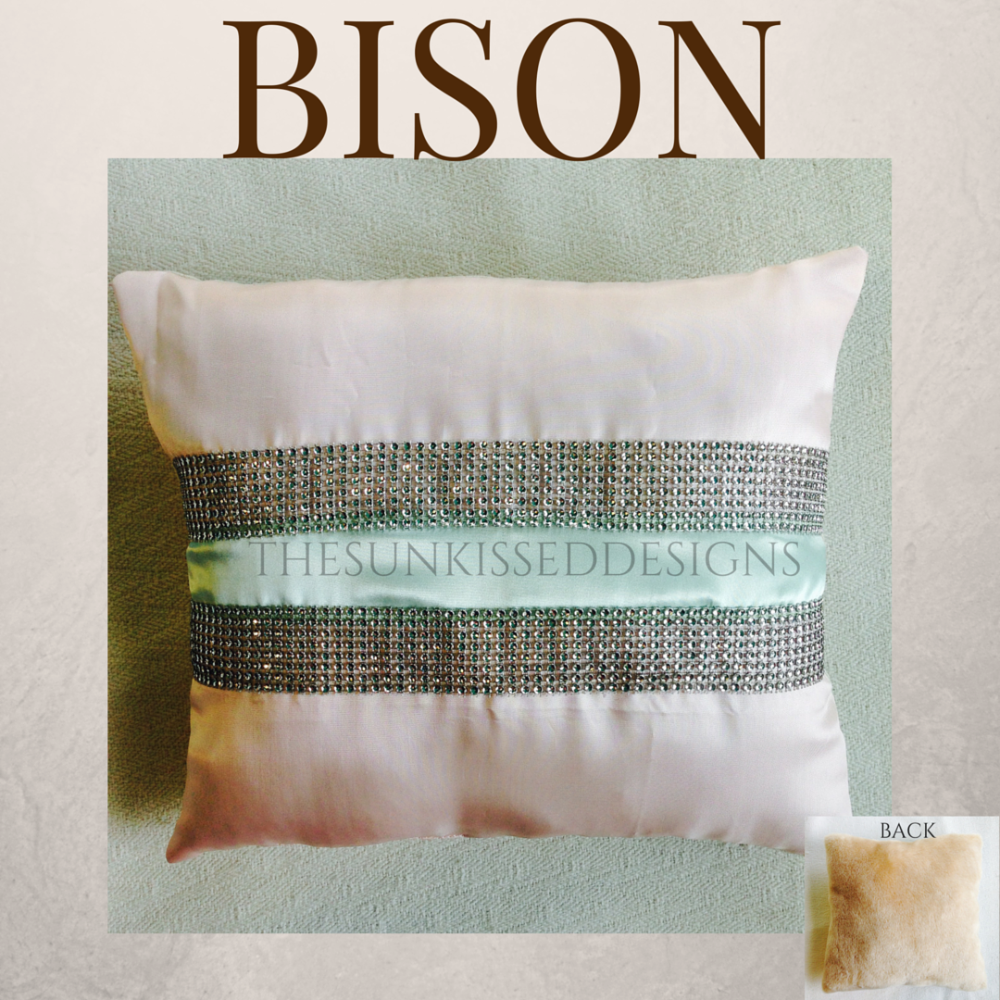 1327-bisonthrowpillowforweb.png