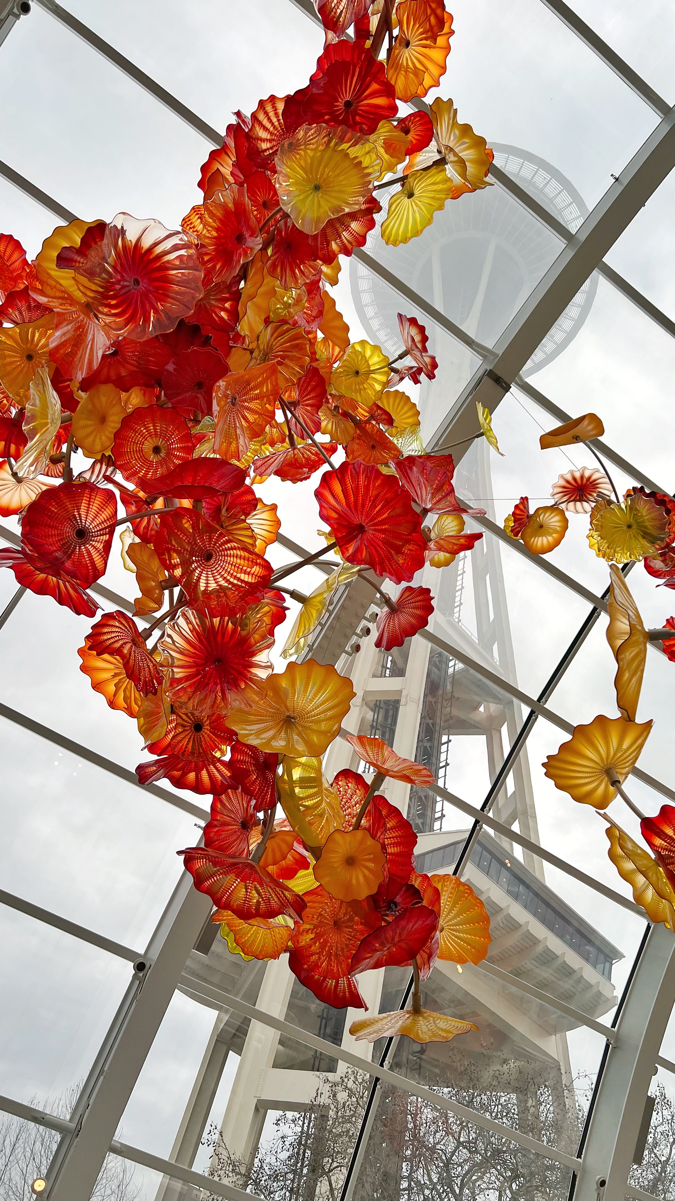 61-img0896-16824664095208.jpg