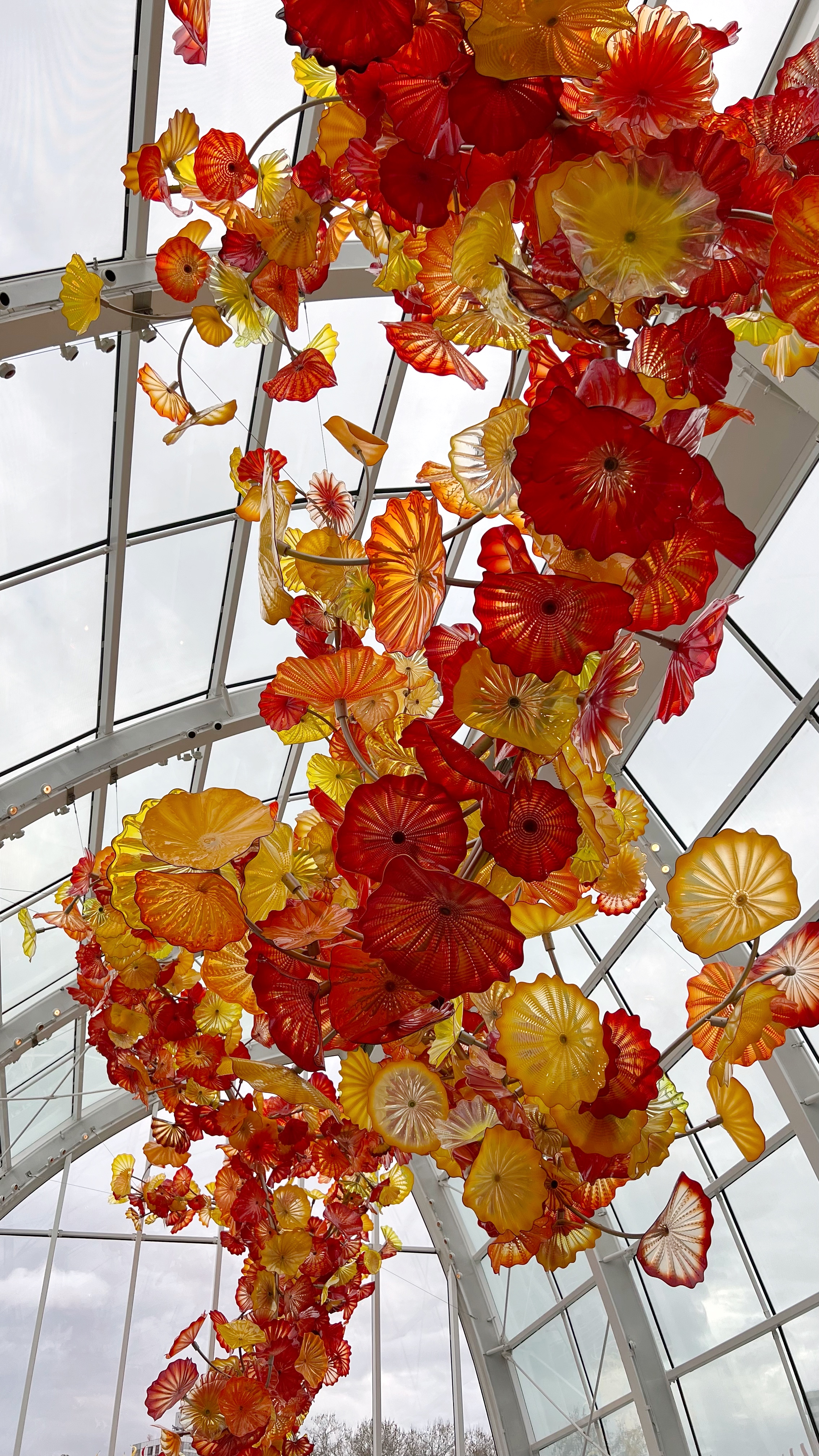 61-img0902-16824664104426.jpg