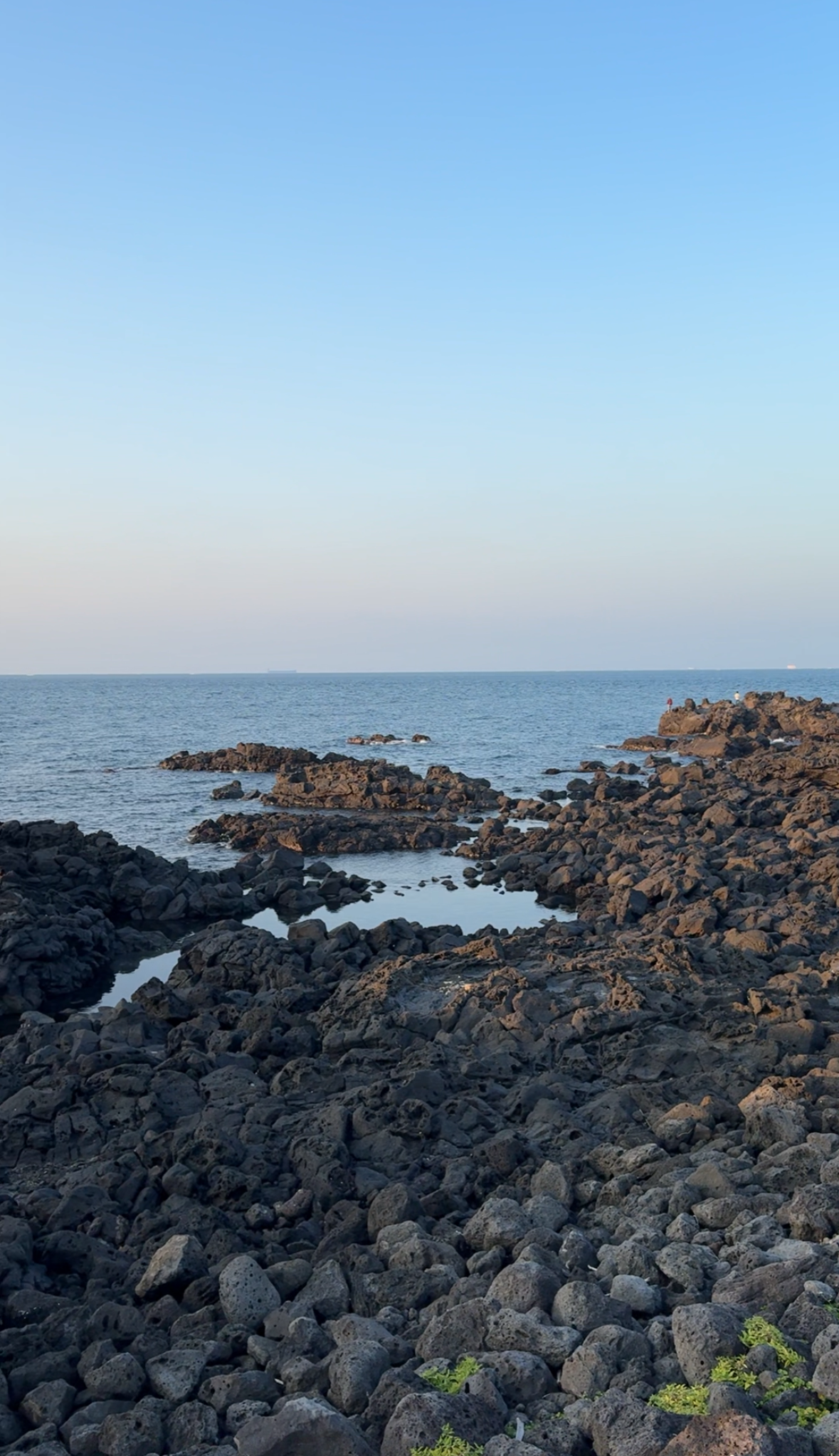 61-img3031png-17000980563265.png