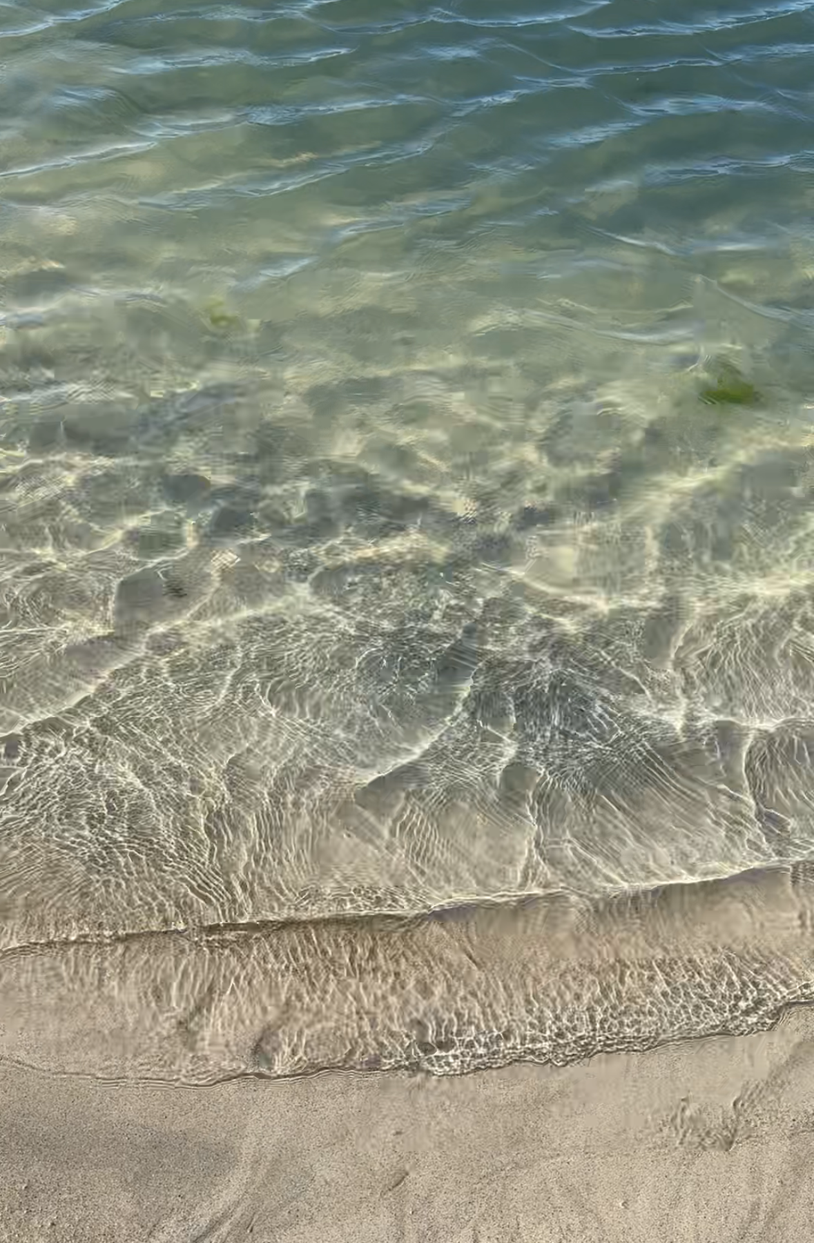 61-img3036png-17000987372176.png