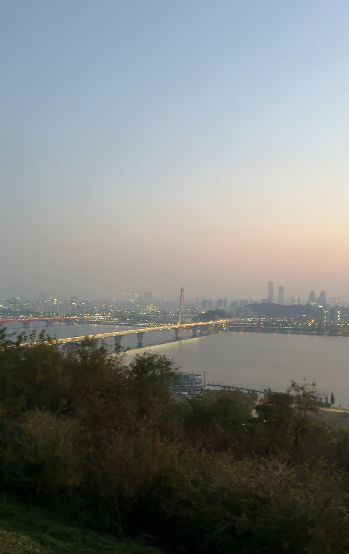 61-img3038png-17001007207385.png