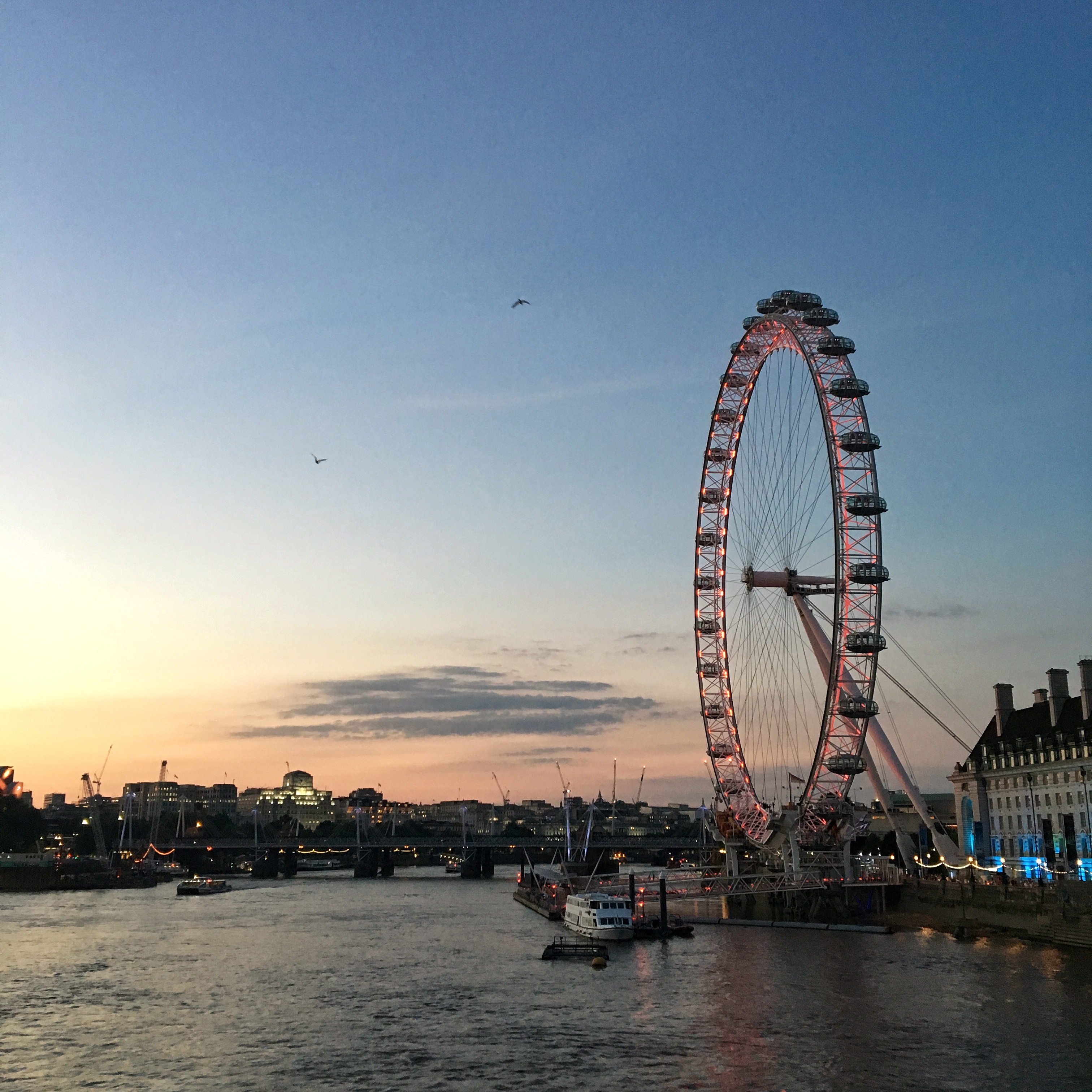 61-img5759-16824652389934.jpg