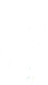 321-unknown-1.jpeg