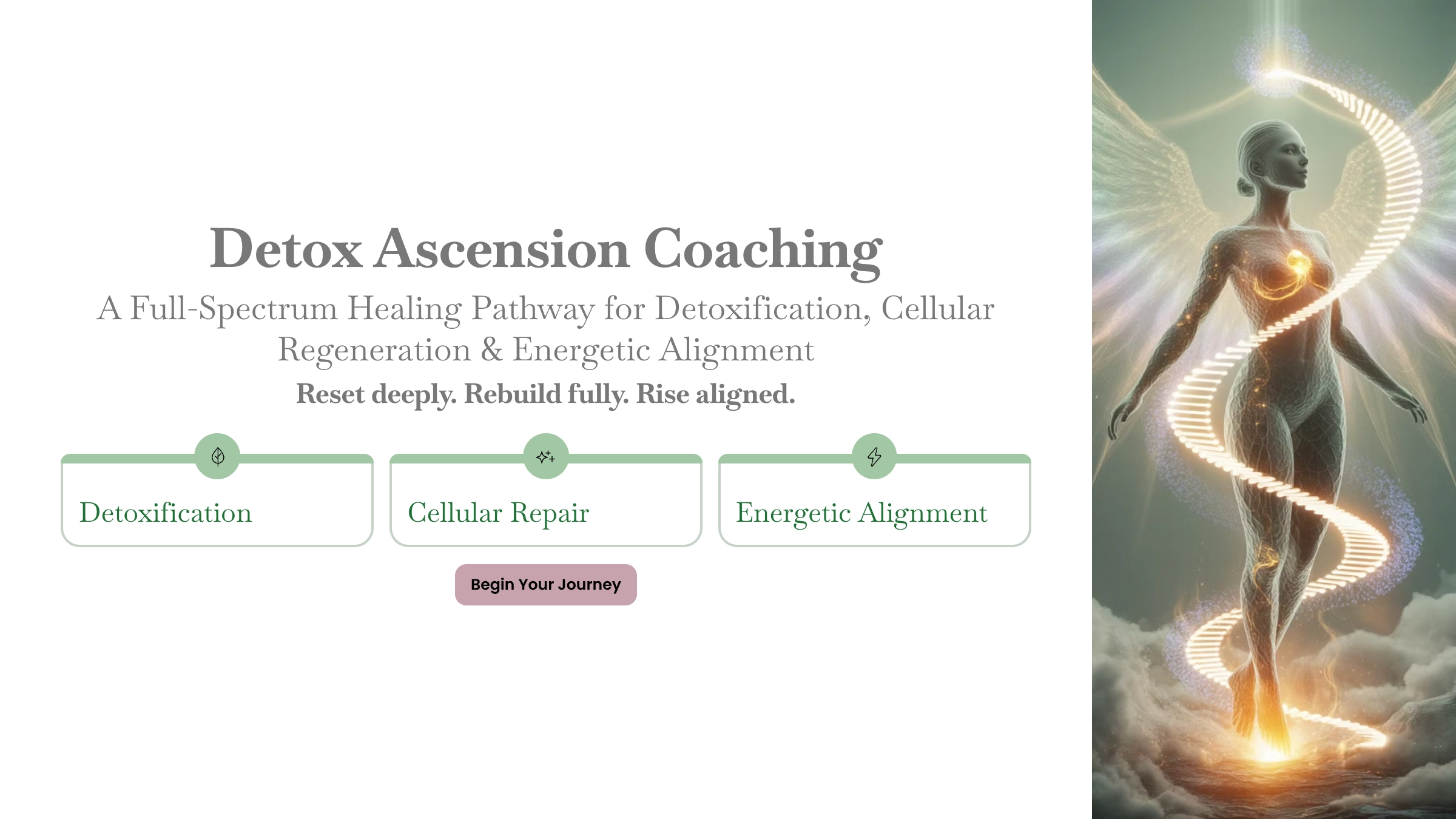 967-1detox-ascension-coaching-17794104137951.png