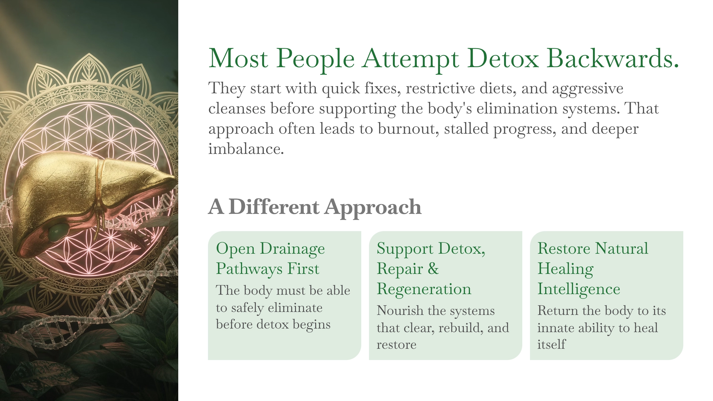 968-2most-people-attempt-detox-backwards-17794092486249.png