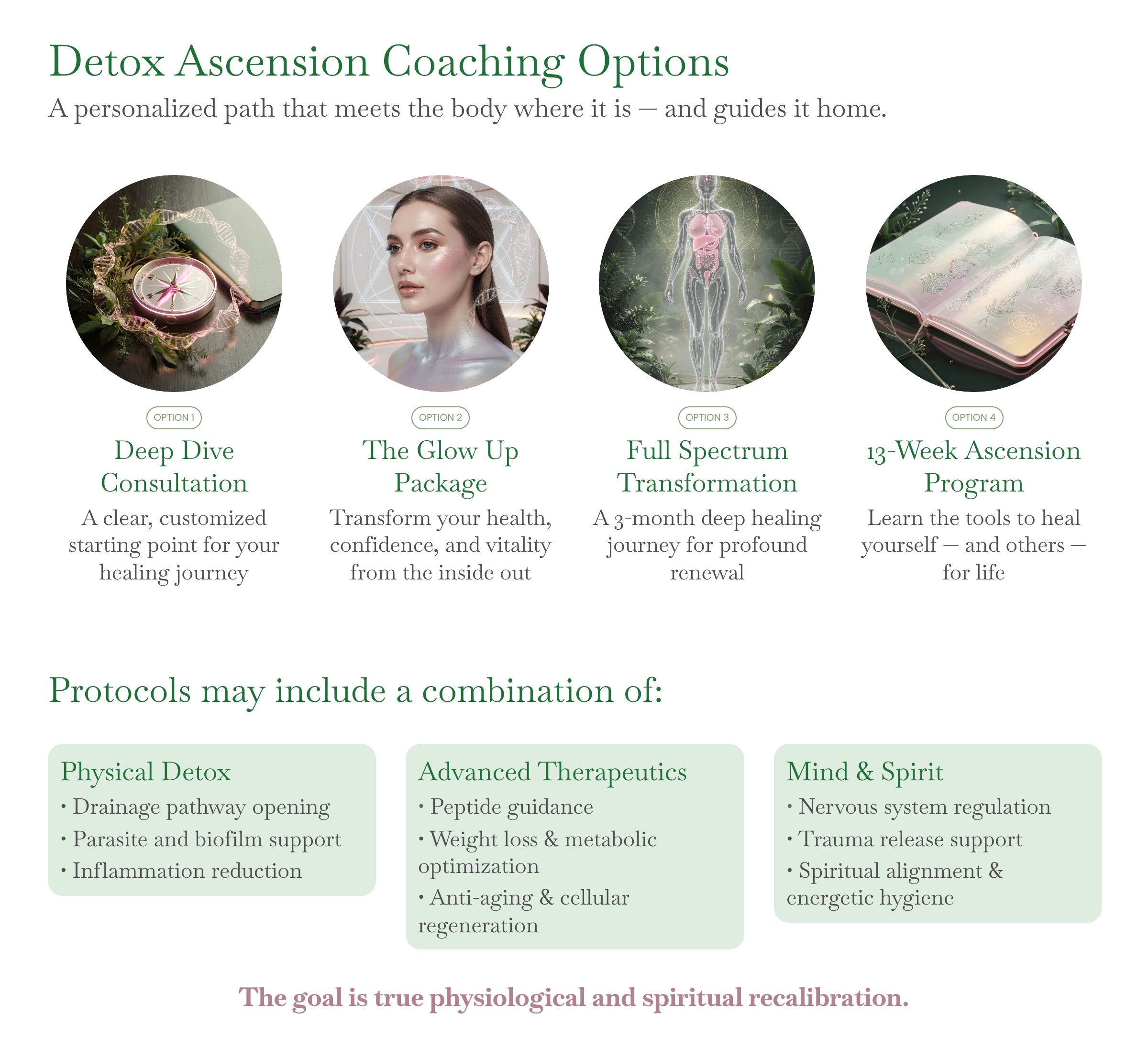 970-4detox-ascension-coaching-options-17794078795548.png