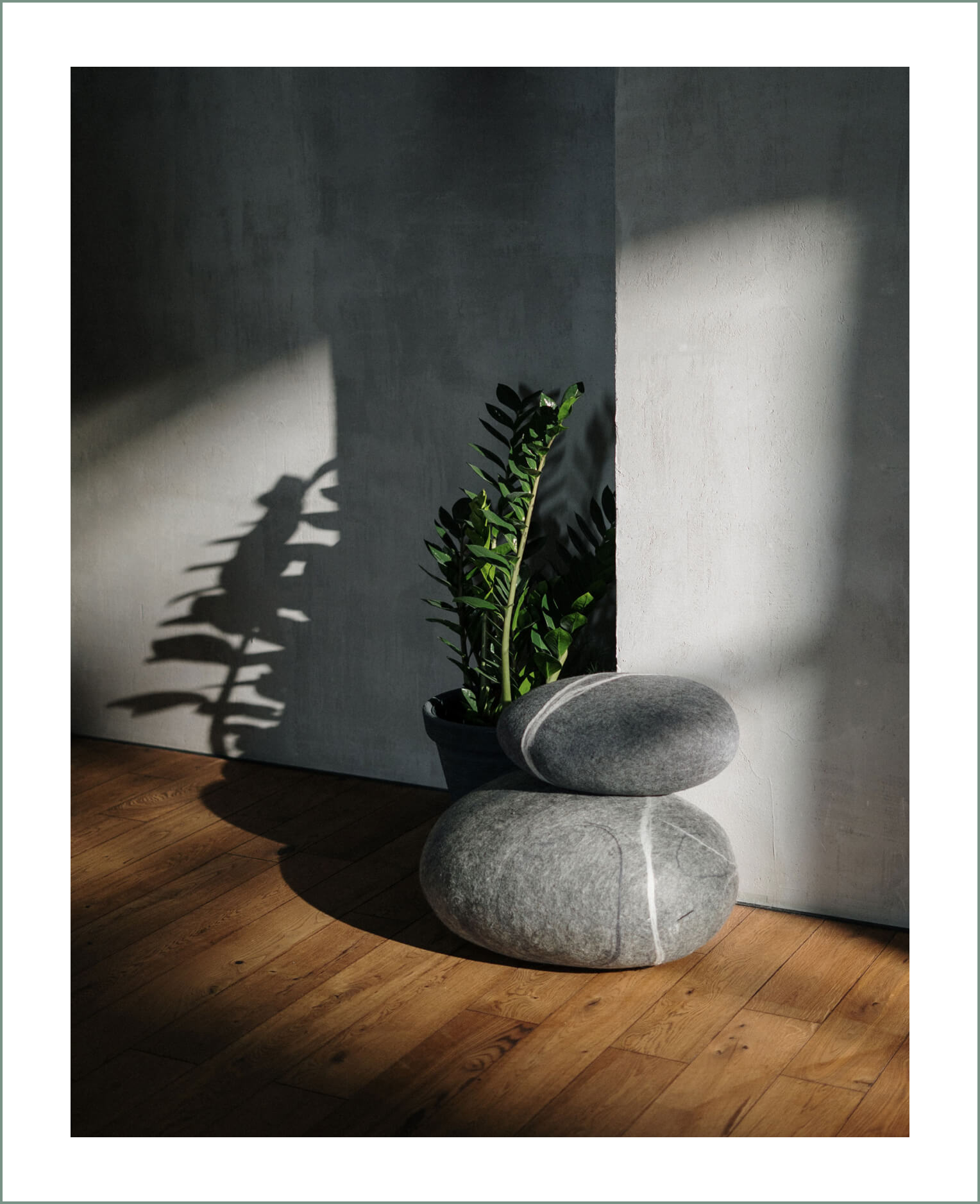 The Importance of Plants in Your Interior Design