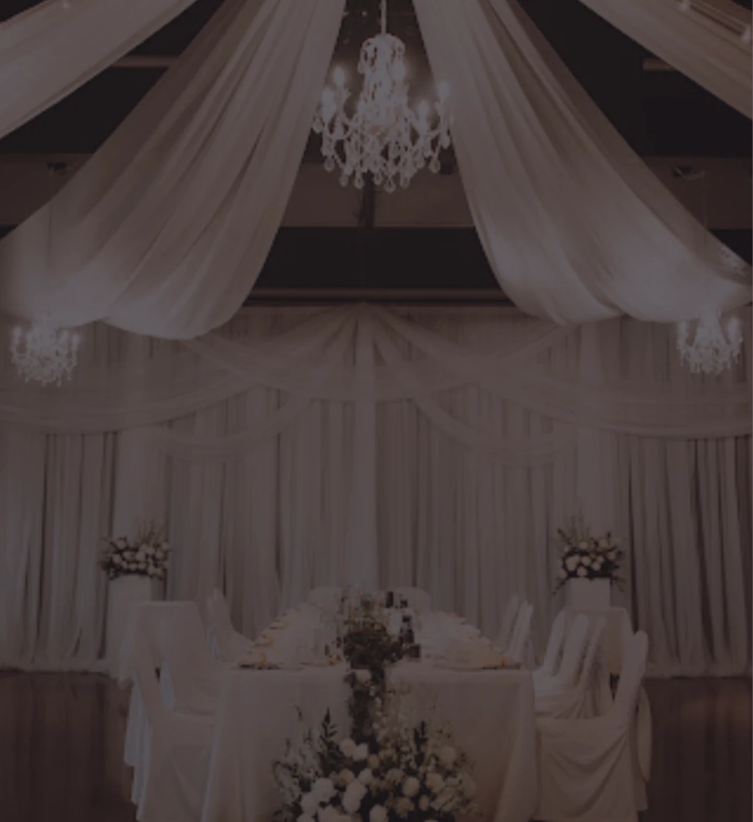 0113108011791769-website-info-17796385231789.png