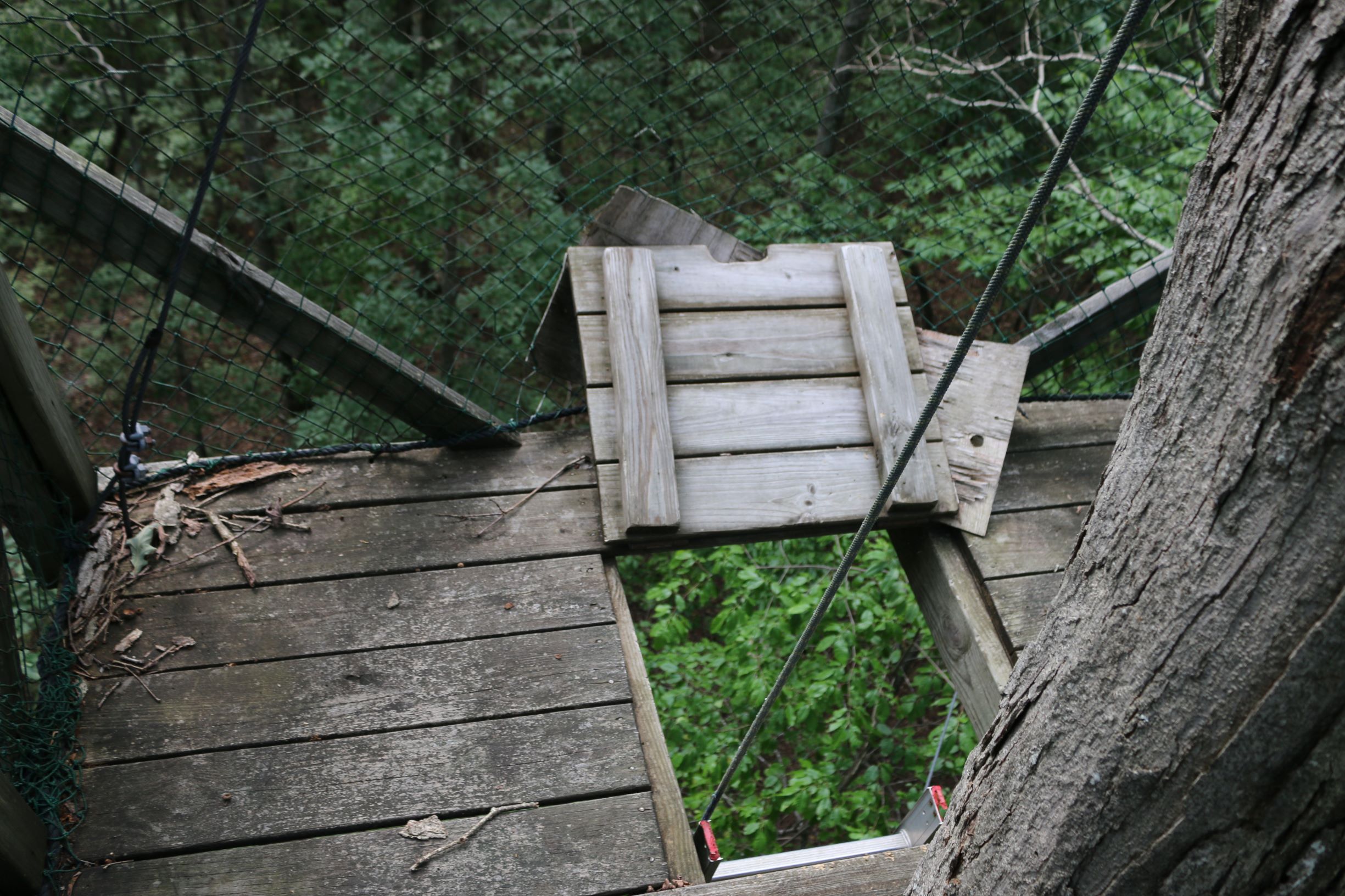 24-img1149-jpgjpg-15923347738044.jpg