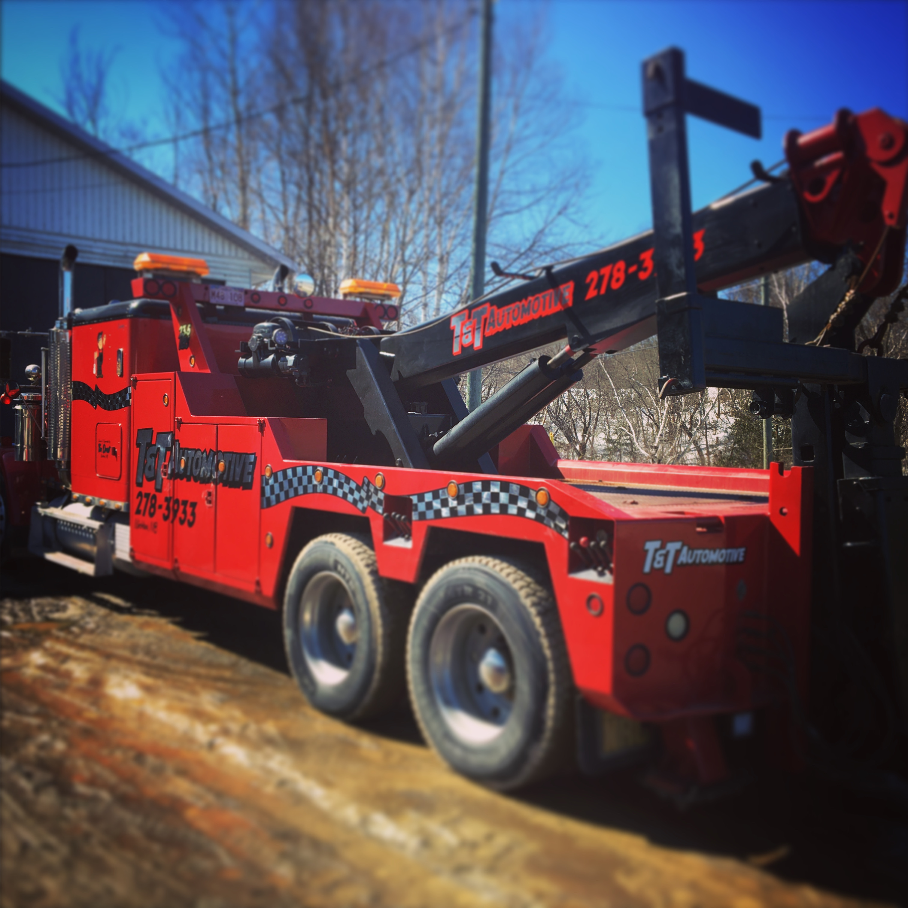 60-tnt-automotive-truck-decalsjpg.jpg