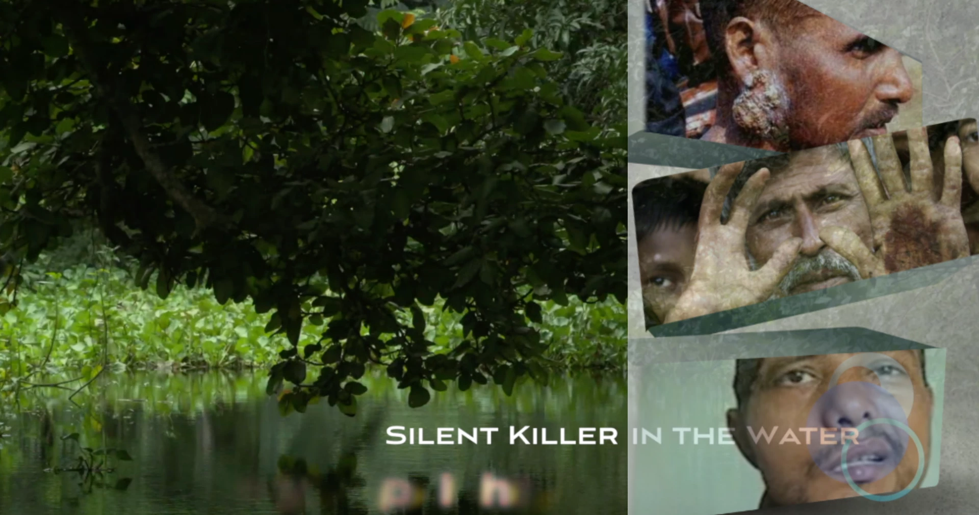 2821-silent-killer-in-the-water-1.png