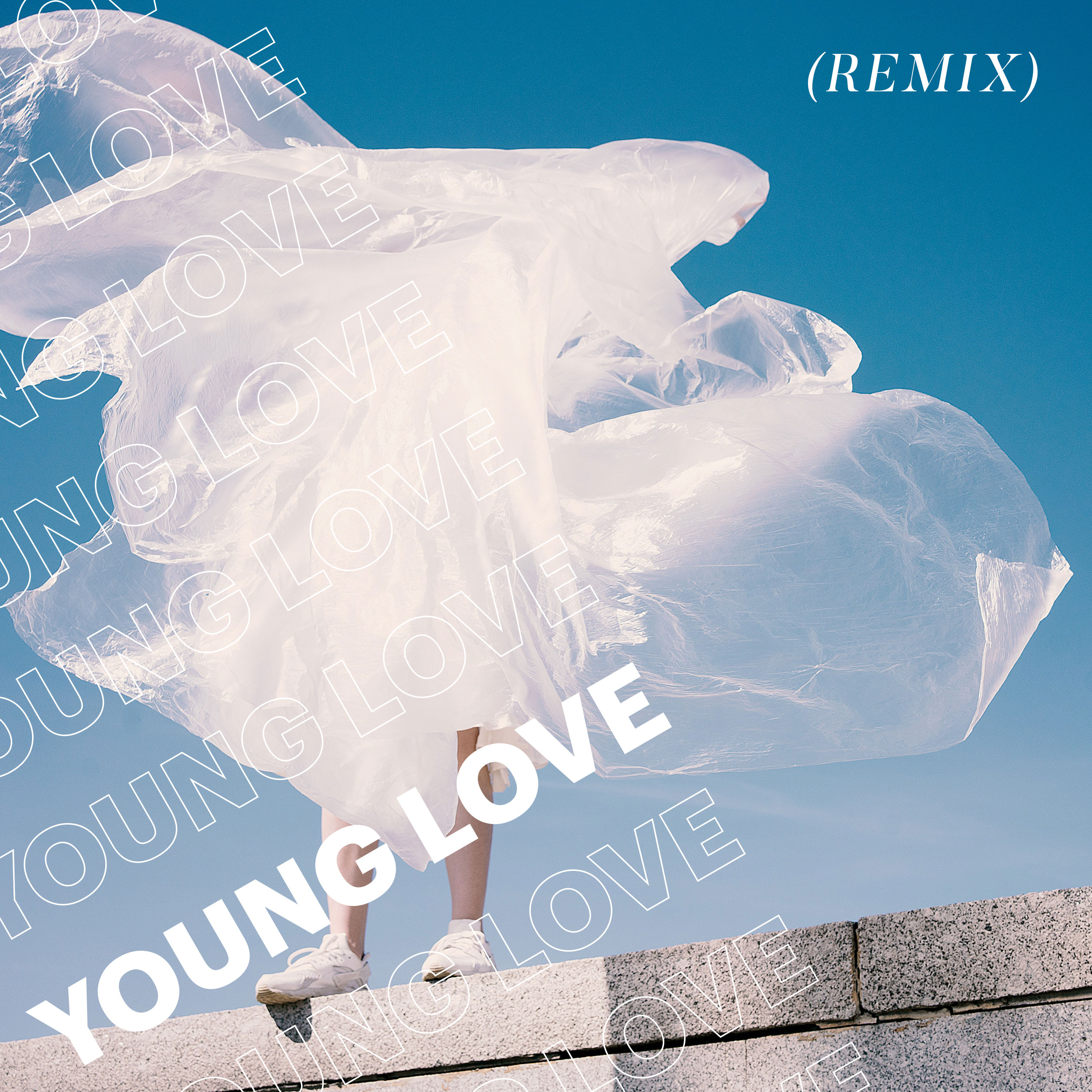 85-vayd-echo-nuvo---young-love-remix-cover-art.jpg