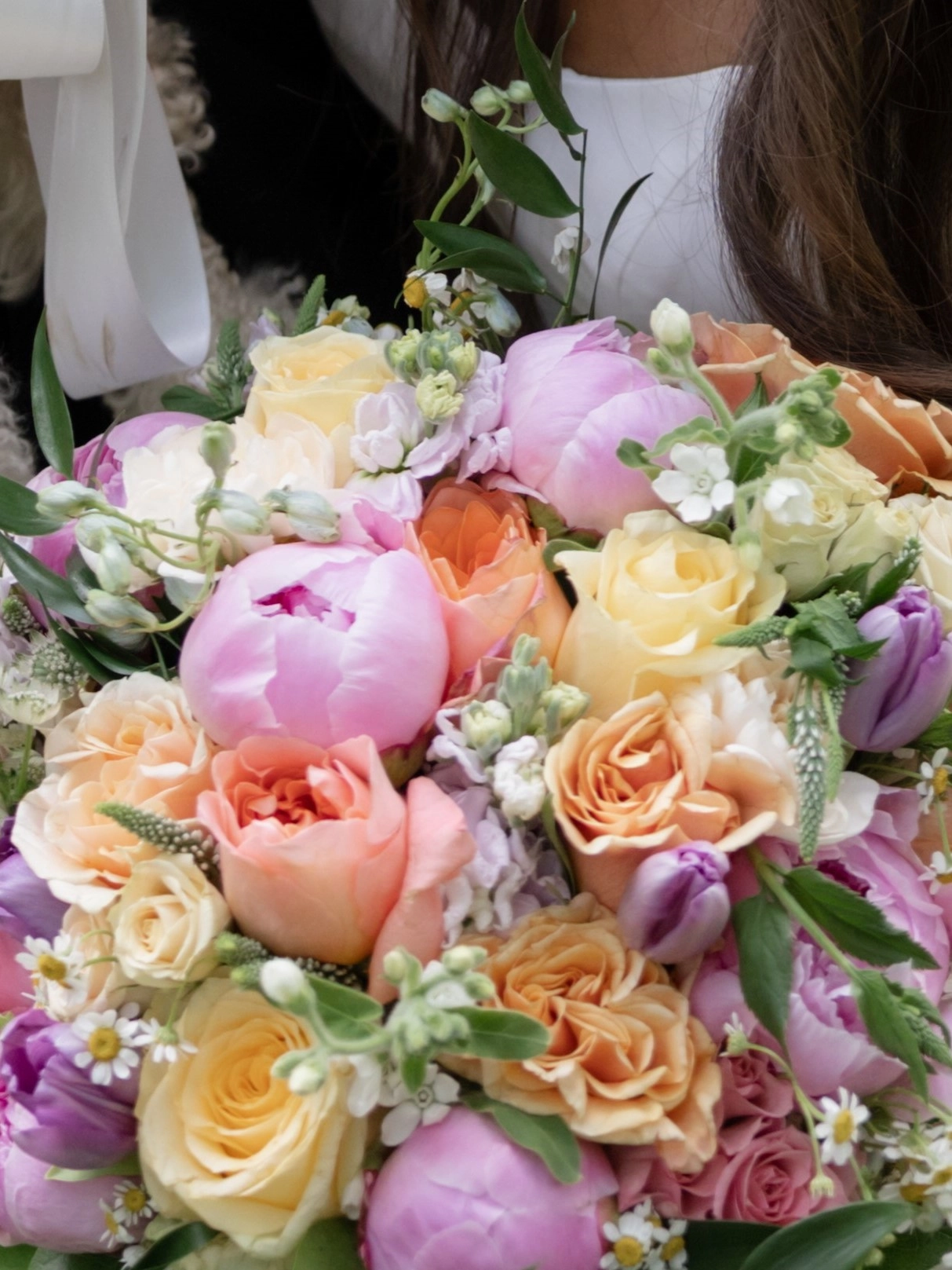 1163-paigelutzphotography-9521-17920383343495.jpg