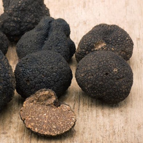 Truffe noire 727-truffle.jpg